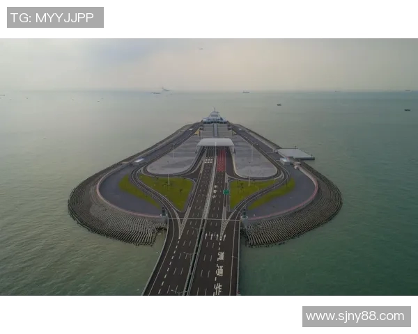 北京排球队在联合会杯中的辉煌历程与突破成就全景回顾 北京排球队在联合会杯中的辉煌历程与突破成就全景回顾