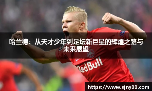 米兰体育官网