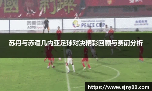 苏丹与赤道几内亚足球对决精彩回顾与赛前分析